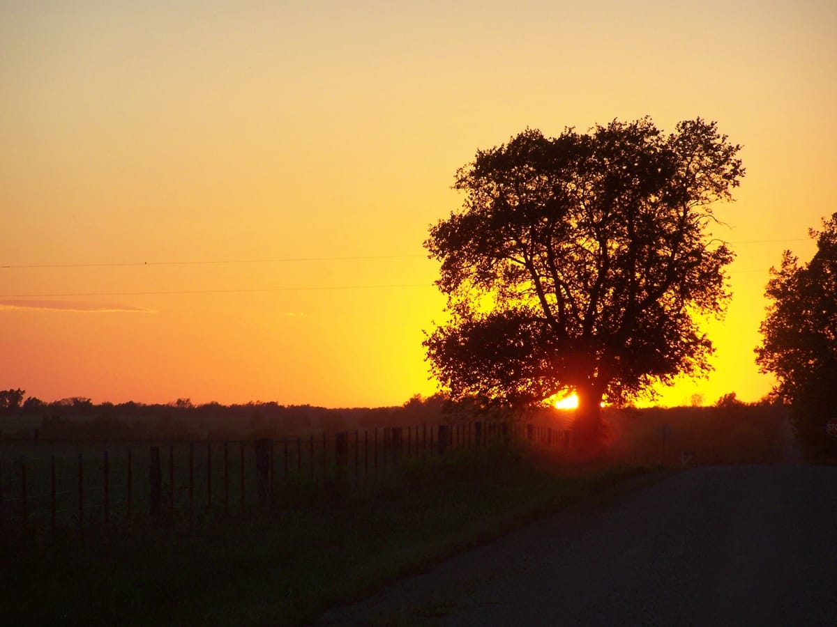 A scenic view of a sunset with a silhouette of a large tree in the foreground. The sky is a gradient of warm colors, transitioning from orange to yellow, creating a serene and picturesque scene. A rural road runs alongside a fence, leading into the distance. The horizon is lined with trees and vegetation, adding depth to the landscape.