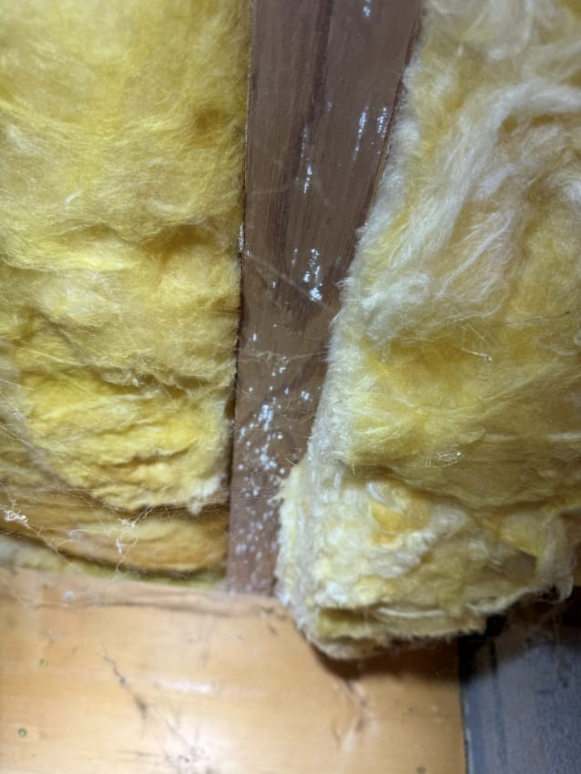 Close-Up of Yellow Fiberglass Insulation and Wooden Beam with White Paint Specks in Interior Wall Construction.