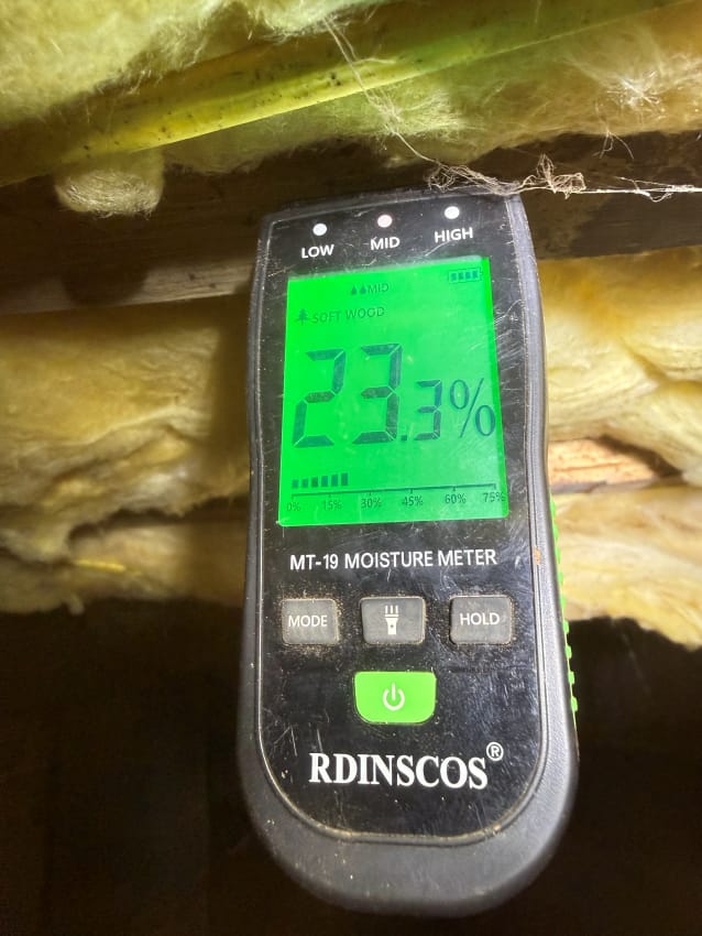 Moisture Meter Displaying high wood moisture 23.3% Reading in Insulated Wooden Environment with Soft Wood Setting