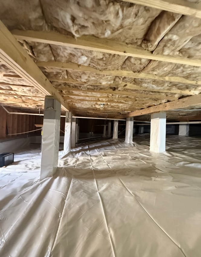 Spacious Crawl Space with Insulated Ceiling and Plastic Vapor Barrier Covering Concrete Support Columns and Floor