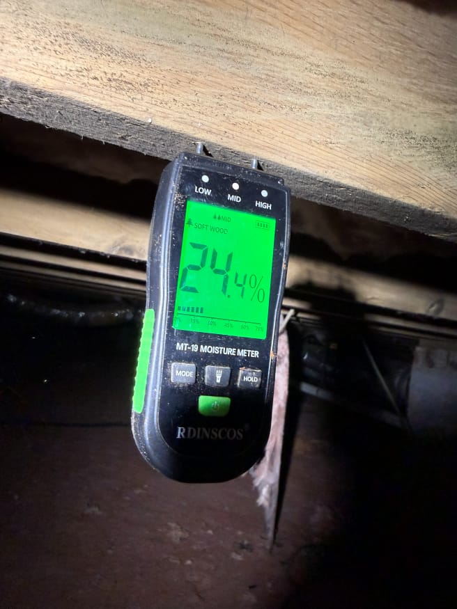 Moisture Meter Displaying 24.4% Reading Against Wooden Beam in Dimly Lit Area
