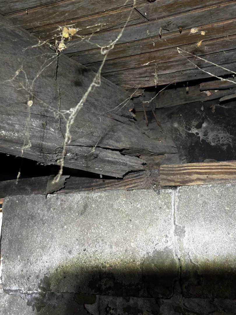 The image shows a close-up of a damaged wooden beam in a basement setting. The beam has visible cracks and signs of decay, with cobwebs hanging from it. The background includes a concrete wall with some discoloration and possible mold growth. The lighting is dim, suggesting a neglected or abandoned space.