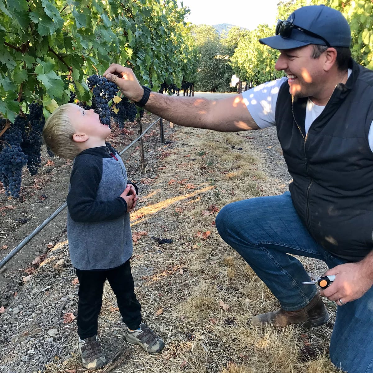 Fat Guy Tony and Son Enjoying Grapes in Vineyard