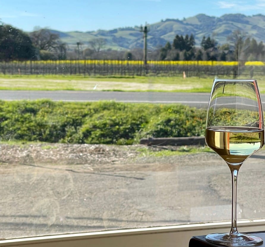 Wine Glass Overlooking Vineyard and Hills