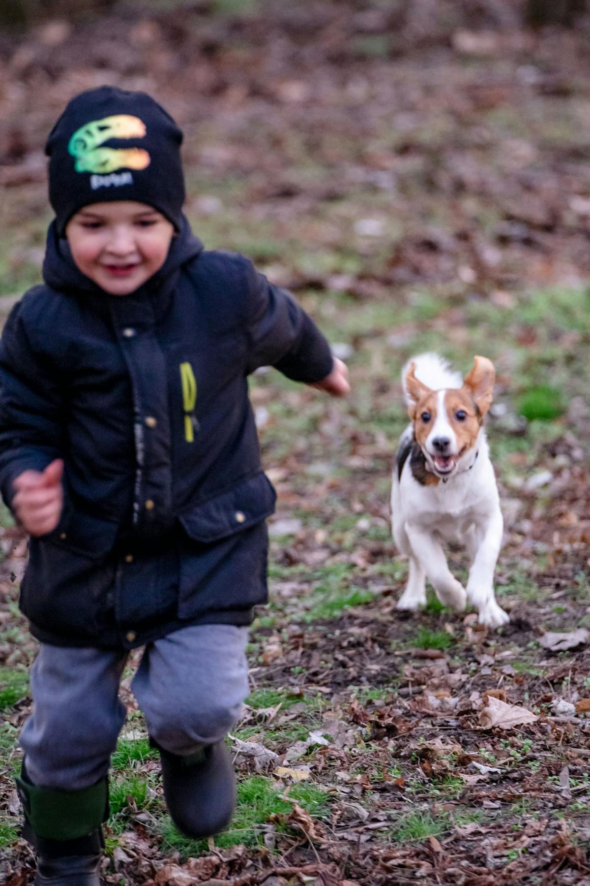 A young child wearing a black jacket, grey pants, and a black beanie with a colorful dinosaur design is running on a grassy, leaf-covered ground. A small dog with a white and brown coat is playfully chasing the child. The scene is set outdoors in what appears to be a park or wooded area with a blurred natural background.