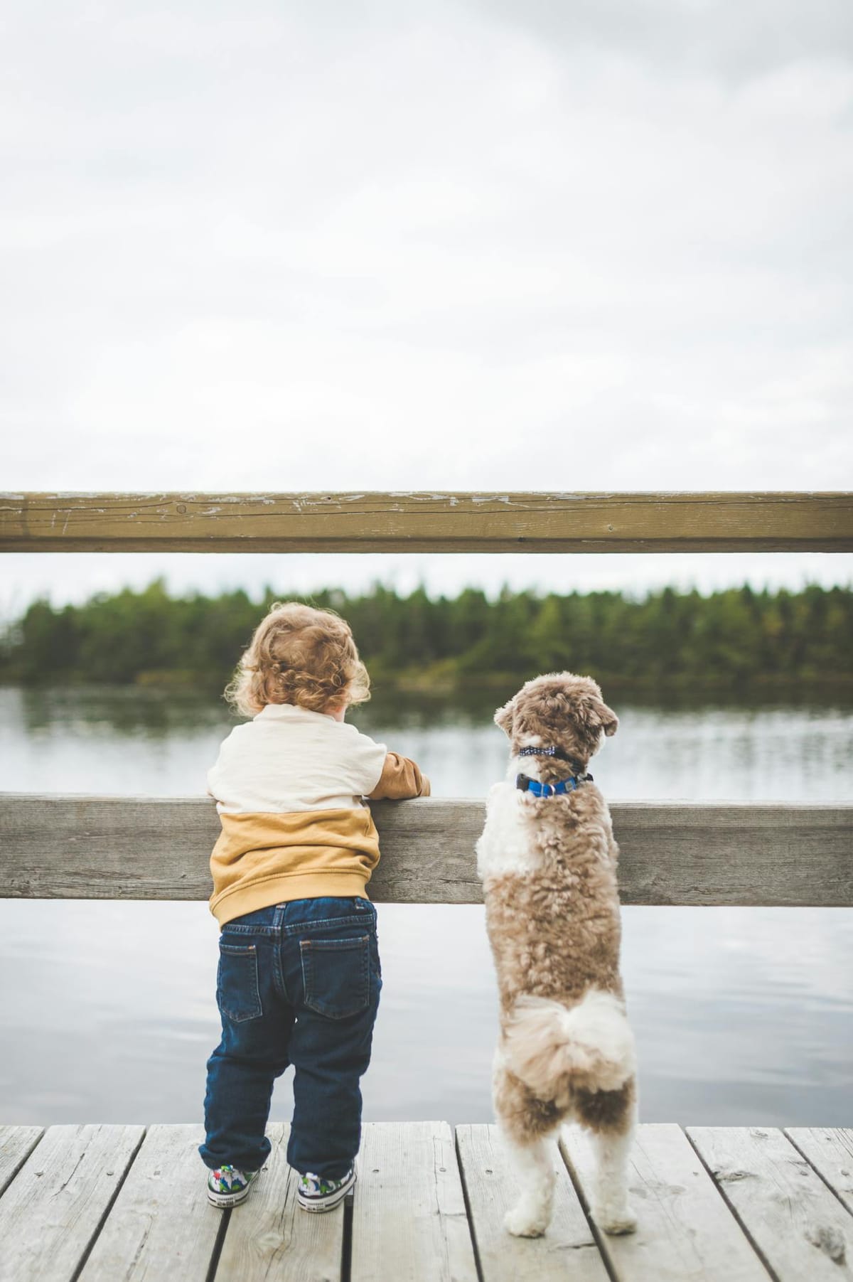 A young child and a dog stand on a wooden dock, facing away from the camera, looking out over a calm, reflective lake. The child, wearing a beige and brown jacket and blue jeans, stands next to a fluffy dog with a curly coat. Both are leaning against a wooden railing. In the background, across the water, there is a line of green trees under a cloudy sky.