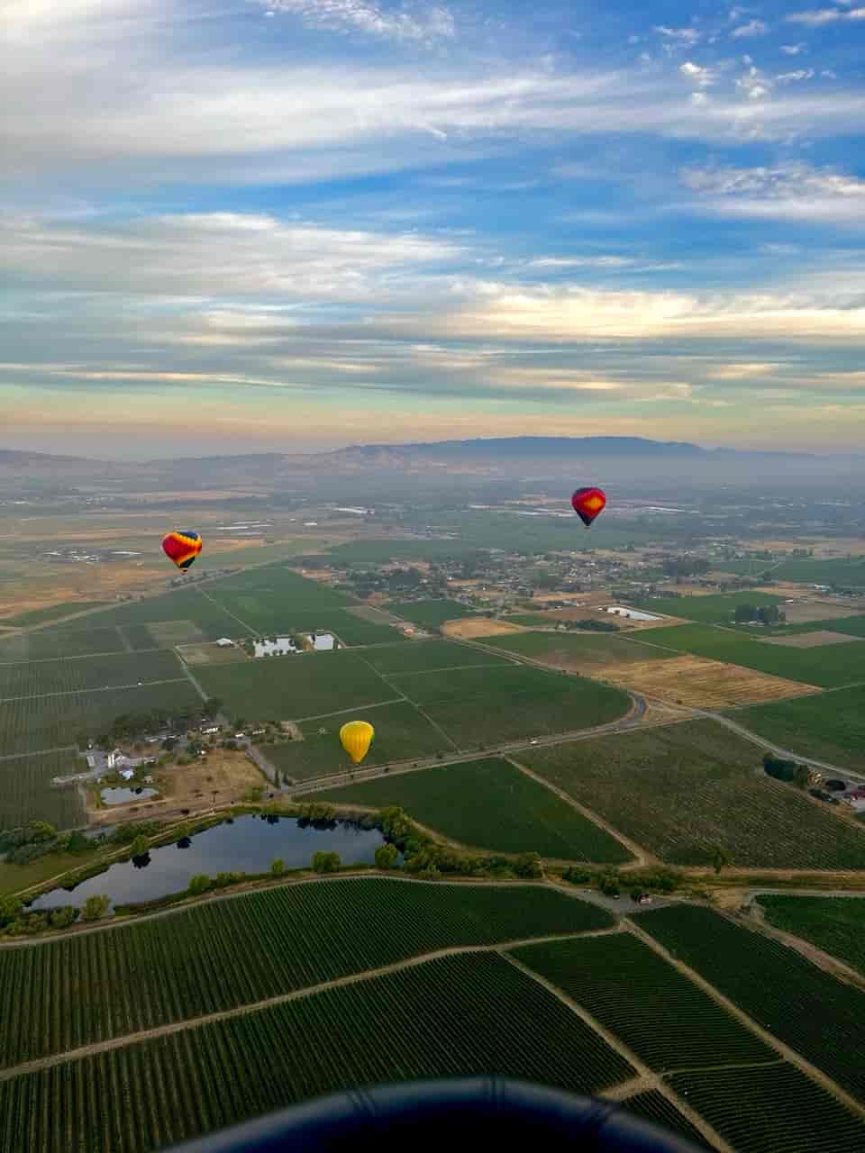 Hot Air Balloons Over Scenic Farmland at Dusk