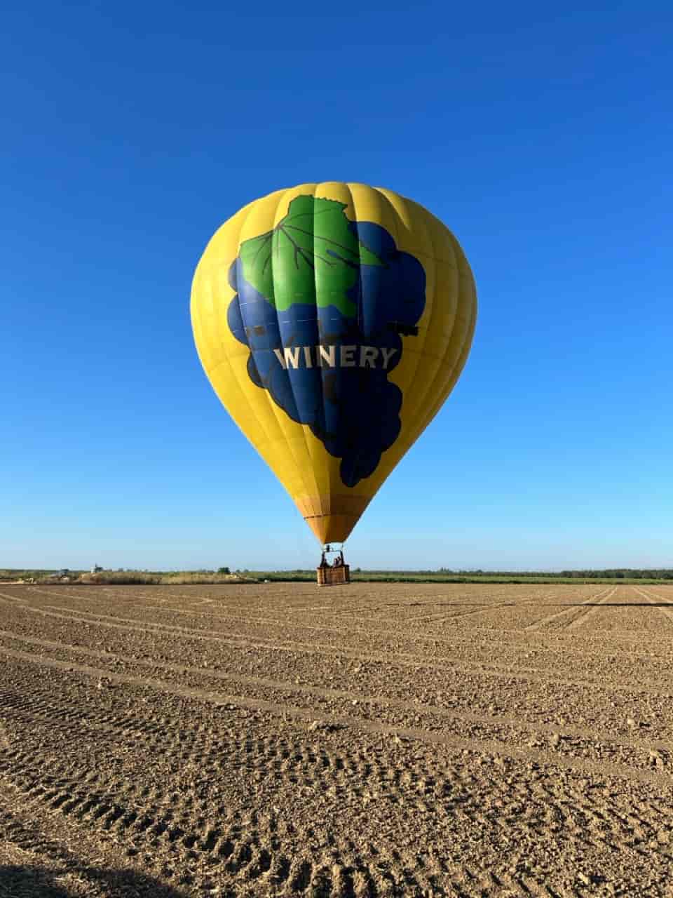 Yellow Hot Air Balloon Over Farmland