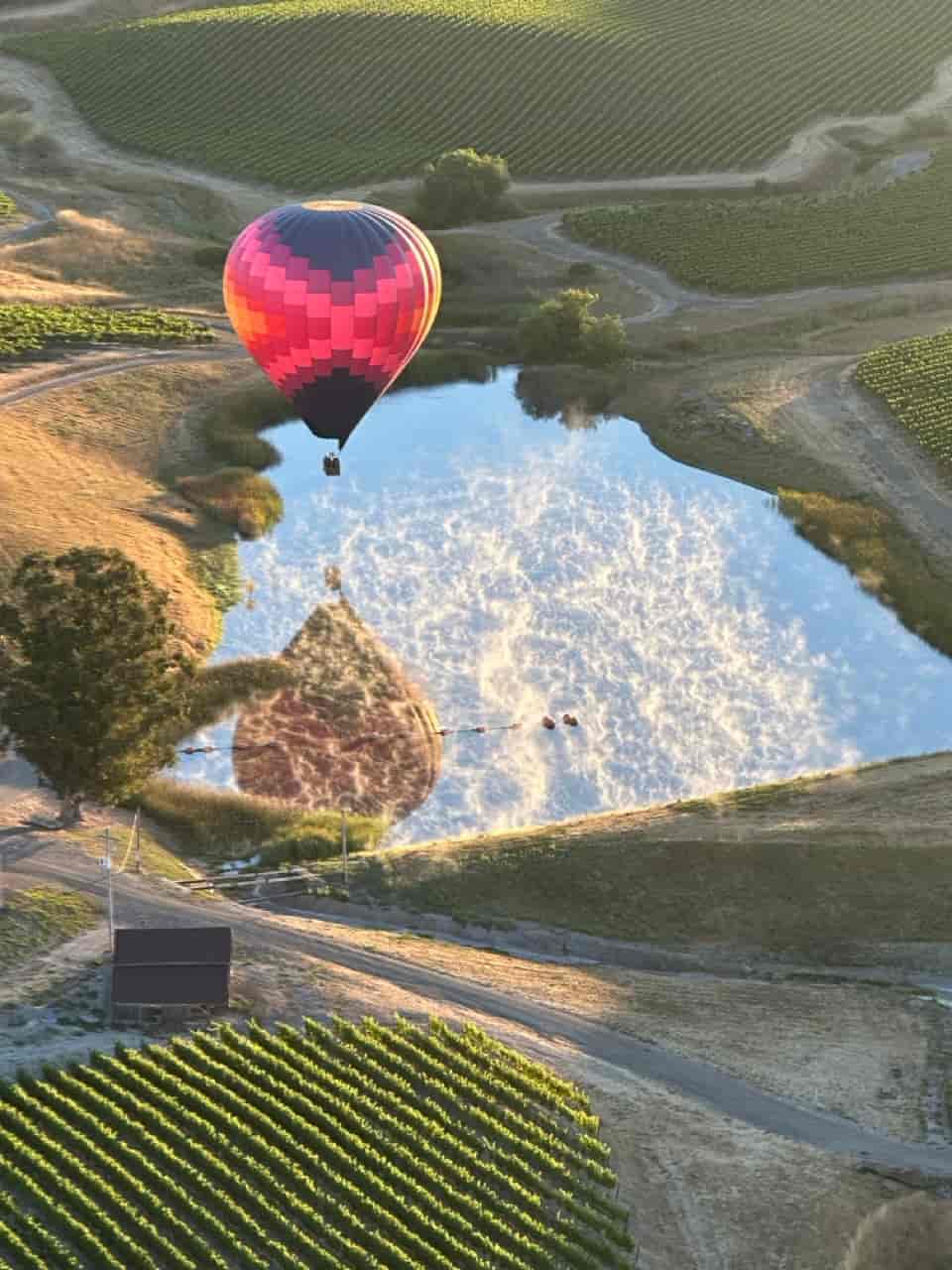 Hot Air Balloon Over Reflective Pond in Vineyard