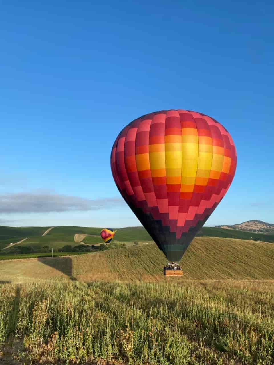 Colorful Hot Air Balloons Over Rolling Hills