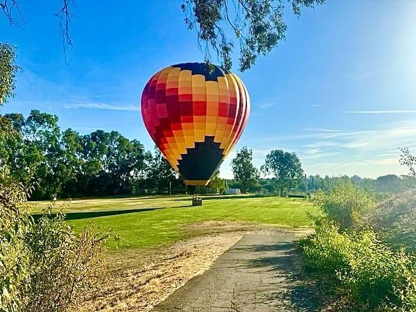 Colorful Hot Air Balloon Gently Descending onto Lush Green Field Surrounded by Trees on a Clear Sunny Day