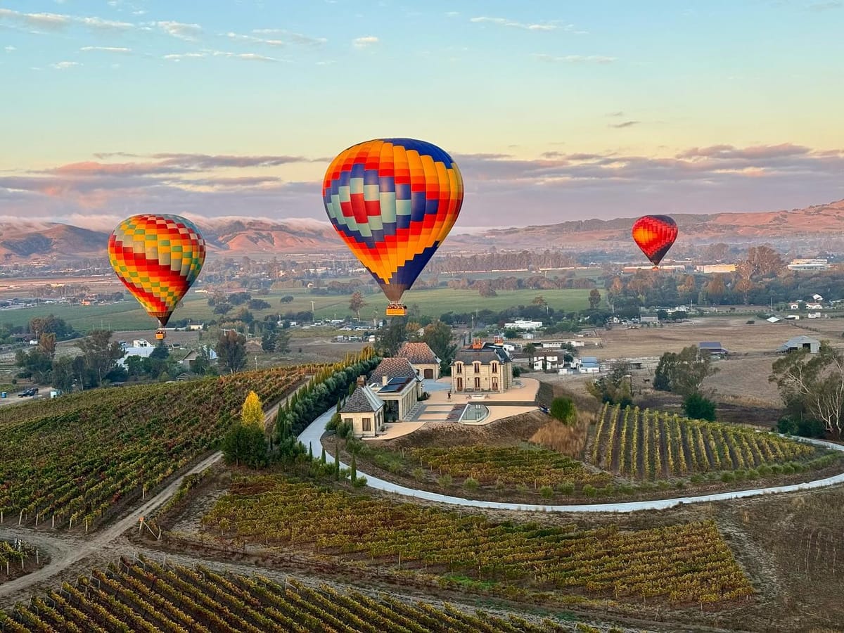 Colorful Hot Air Balloons Soaring Over Vineyard-Laden Countryside at Sunrise with Expansive Landscape and Elegant Estate Below